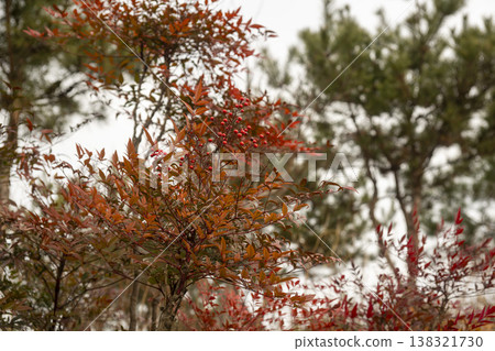 Nakdong River Bicycle Path 138321730