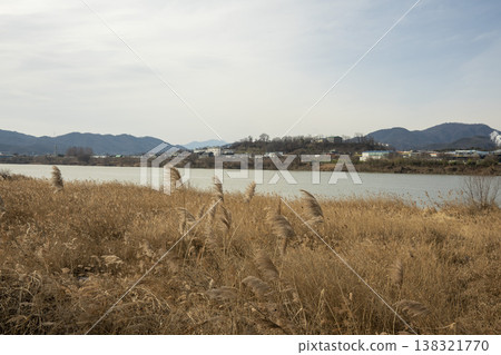Nakdong River Bicycle Path 138321770