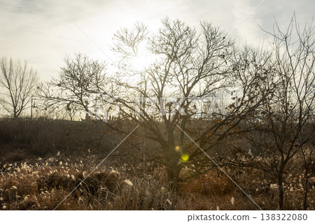 Nakdong River Bicycle Path 138322080