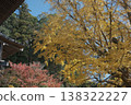 Autumnal leaves ginkgo 138322227