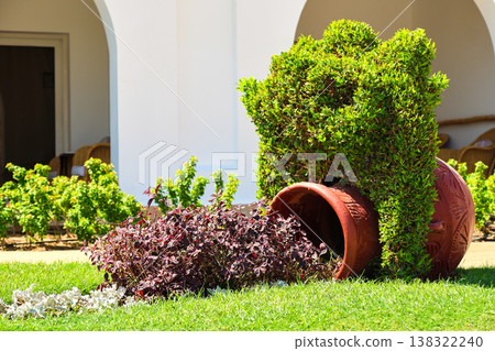 A garden plant arrangement in the form of a vase, jug and bushes 138322240
