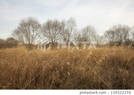 Nakdong River Bicycle Path Nakdong River Bicycle Path 138322259