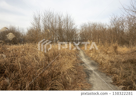 Nakdong River Bicycle Path Nakdong River Bicycle Path 138322281