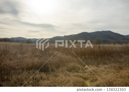 Nakdong River Bicycle Path Nakdong River Bicycle Path 138322303