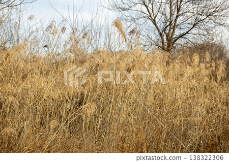 Nakdong River Bicycle Path Nakdong River Bicycle Path 138322306