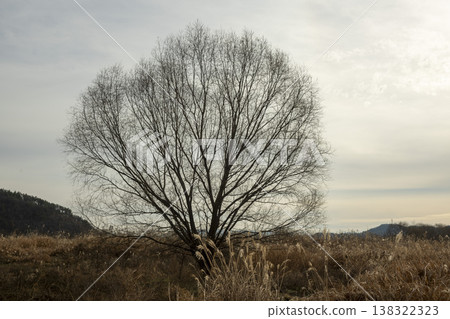 Nakdong River Bicycle Path 138322323