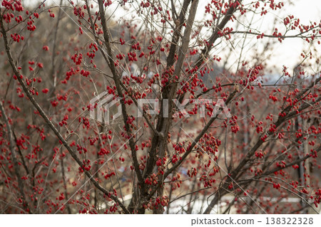 Nakdong River Bicycle Path Nakdong River Bicycle Path 138322328