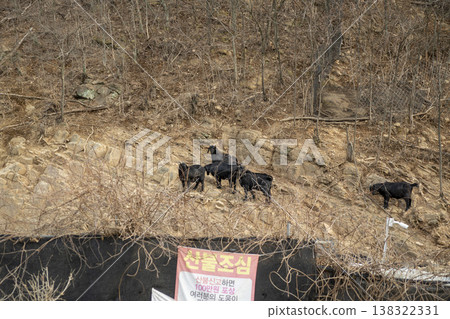 Nakdong River Bicycle Path 138322331