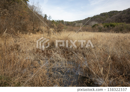 Nakdong River Bicycle Path Nakdong River Bicycle Path 138322337