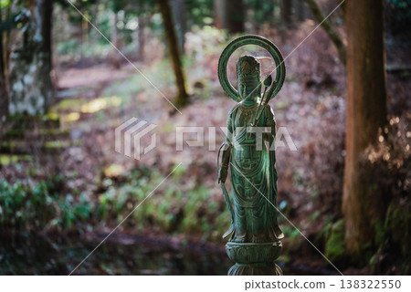 [Kōzenji Temple] Buddha statue with a halo [Komagane City] 138322550
