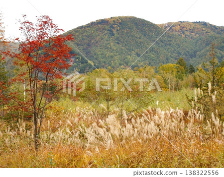 Autumn at Ichinose Park in Norikura Highlands 138322556