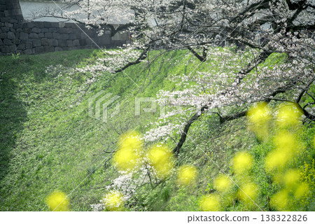 三月，九段下縣田安門附近的春日景色 138322826