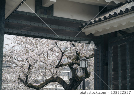 三月，九段下縣田安門附近的春日景色 138322837