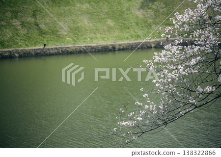 三月,九段下縣田安門附近的春日景色 三月,九段下縣田安門附近的春日景色 138322866