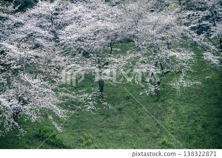 三月，九段下縣田安門附近的春日景色 138322871
