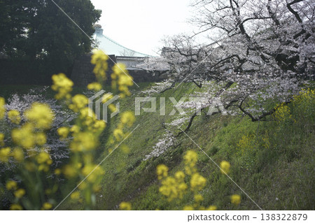 三月,九段下縣田安門附近的春日景色 三月,九段下縣田安門附近的春日景色 138322879