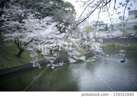 三月，九段下縣田安門附近的春日景色 138322880