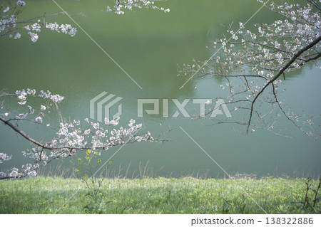 三月,九段下縣田安門附近的春日景色 三月,九段下縣田安門附近的春日景色 138322886