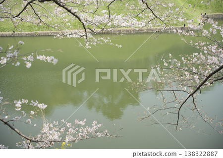 三月,九段下縣田安門附近的春日景色 三月,九段下縣田安門附近的春日景色 138322887