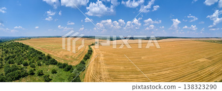 Aerial landscape view of yellow cultivated agricultural field with dry straw of cut down wheat after harvesting Aerial landscape view of yellow cultivated agricultural field with dry straw of cut down wheat after harvesting 138323290