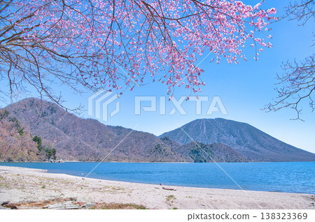 從栃木縣日光市千手濱眺望盛開的櫻花、中禪寺湖和男體山 138323369