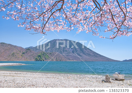從栃木縣日光市千手濱眺望盛開的櫻花、中禪寺湖和男體山 138323370