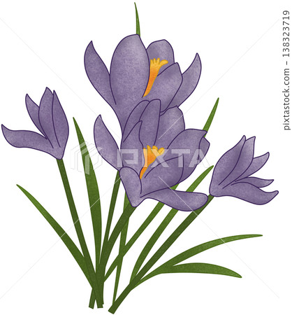 purple flower illustration purple flower illustration 138323719