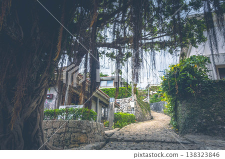 A landscape of Shuri, Okinawa, featuring cobblestone streets and large banyan trees with strong, firmly rooted roots. A landscape of Shuri, Okinawa, featuring cobblestone streets and large banyan trees with strong, firmly rooted roots. 138323846
