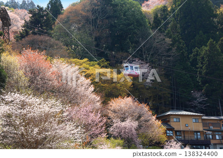 世界遺產:吉野山櫻花盛開與纜車 世界遺產:吉野山櫻花盛開與纜車 138324400