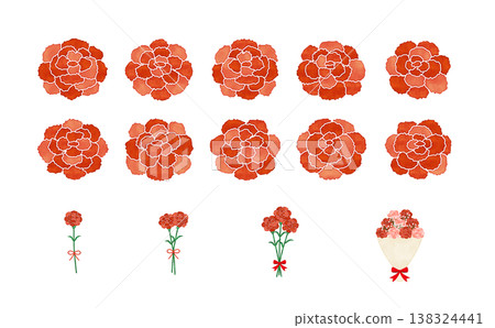 Watercolor-style red carnation flower parts set, with flowers and ribbons, in bouquet variations. 138324441