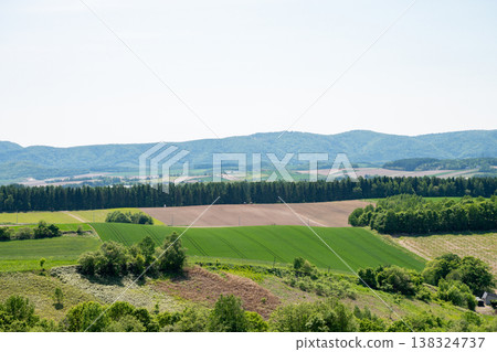 A landscape of rolling hills with fields of soil and fields of greenery. A landscape of rolling hills with fields of soil and fields of greenery. 138324737