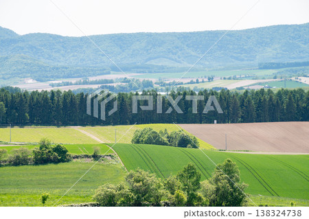 A landscape of rolling hills with fields of soil and fields of greenery. A landscape of rolling hills with fields of soil and fields of greenery. 138324738