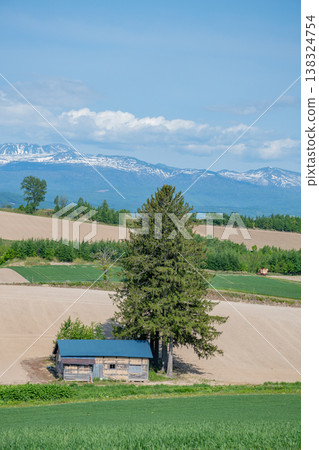Snow-capped mountains and an old hut in a field Snow-capped mountains and an old hut in a field 138324754