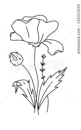 Poppy bloom with bud and leaves drawn in clean contour lines Poppy bloom with bud and leaves drawn in clean contour lines 138325039
