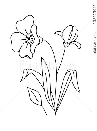 Wildflower stem with two blossoms and long leaves drawn as clean contour lines 138325042