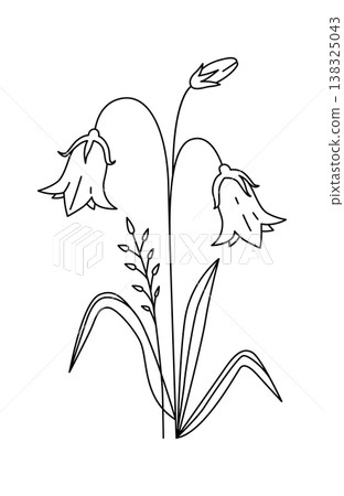 Bellflower stem with two drooping blooms, bud, and long leaves drawn in clean contour lines Bellflower stem with two drooping blooms, bud, and long leaves drawn in clean contour lines 138325043