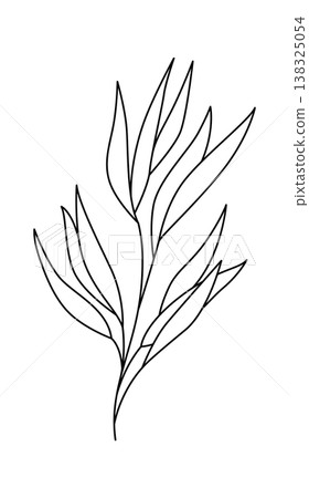 Leaf branch with elongated leaves drawn in clean continuous stroke on white background Leaf branch with elongated leaves drawn in clean continuous stroke on white background 138325054