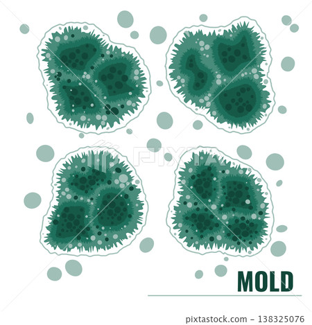 Set of vector illustrations showing green mold and mildew growth. Fungal spores bundle. Set of vector illustrations showing green mold and mildew growth. Fungal spores bundle. 138325076