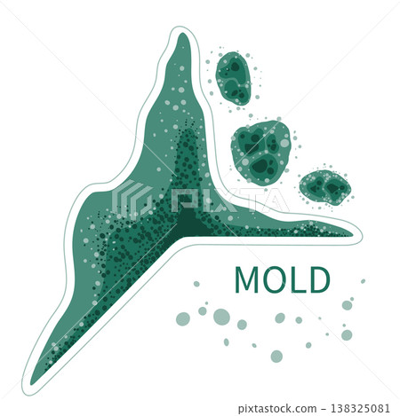 Green mold in damp room corner. Black fungus spores growth in humid environment vector illustration. Green mold in damp room corner. Black fungus spores growth in humid environment vector illustration. 138325081