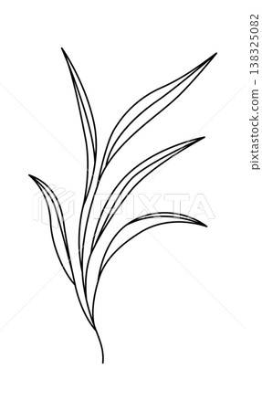Leaf stem with long narrow blade and clean contour line style on white background Leaf stem with long narrow blade and clean contour line style on white background 138325082