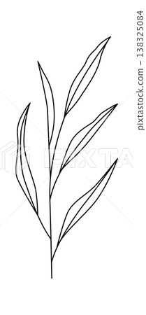 Leaf stem with long narrow foliage drawn as a clean contour line Leaf stem with long narrow foliage drawn as a clean contour line 138325084