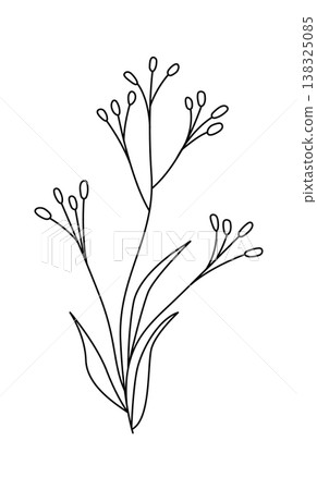 Botanical twig with slender stems, narrow leaves, and oval buds drawn in clean contour lines 138325085