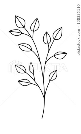 Leaf branch with slender stem and outlined leaves in clean line art style 138325110