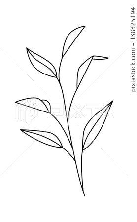 Leaf branch with slender stem and pointed foliage drawn as clean continuous lines Leaf branch with slender stem and pointed foliage drawn as clean continuous lines 138325194