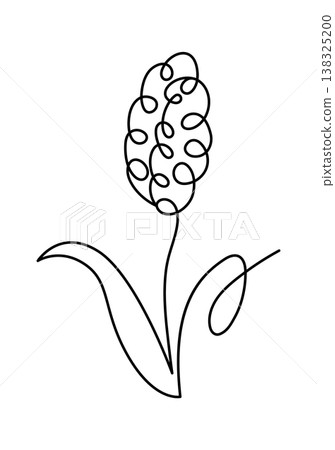 Hyacinth flower with spiral blossom and long leaves drawn in a single continuous line Hyacinth flower with spiral blossom and long leaves drawn in a single continuous line 138325200