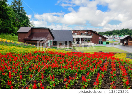 The scenery of the flower fields spreading across Tambara Lavender Park The scenery of the flower fields spreading across Tambara Lavender Park 138325291