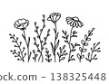 Floral pattern, wildflowers bundle 138325448