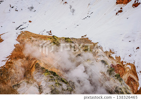 The steam rising from Jigokudani (Hell Valley) and deer standing in the snowfields: The magnificent nature of Hokkaido The steam rising from Jigokudani (Hell Valley) and deer standing in the snowfields: The magnificent nature of Hokkaido 138326465