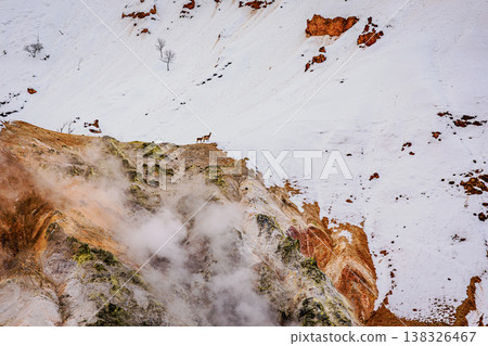 登別溫泉，地獄谷：由冬季火山煙霧和北海道鹿群交織而成的奇幻景觀。 138326467