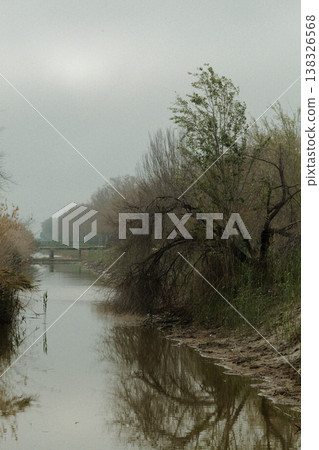Serene river landscape with overcast sky, bare trees lining the banks, and a distant bridge visible in the background reflecting in the calm water 138326568